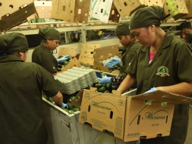 El comercio total entre México y Estados Unidos durante los primeros 10 meses de 2024 sumó 706 mil 898 millones de dólares