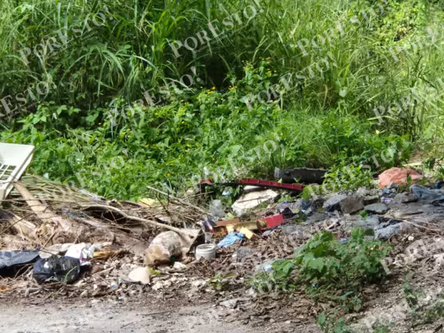 Denuncian riesgo sanitario por lote baldío en colonia de Champotón