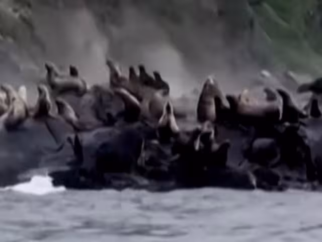 La isla Paramushir y, de manera más crítica, la ciudad de Severo-Kurilsk, sufrieron los impactos más severos