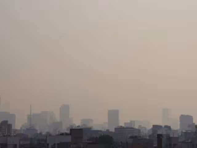 El Doble Hoy No Circula no tendrá cambios en el Valle de México
