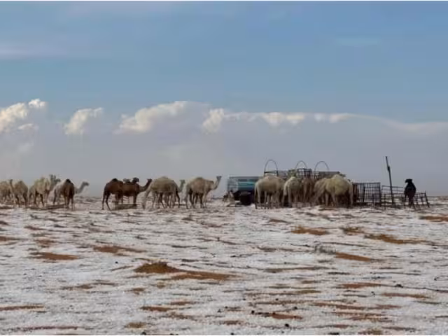 En un hecho insólito, el desierto en la región árabe de AlJawf se 'congeló' en una demostración evidente del cambio climático