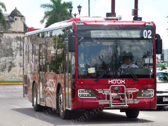 Poda, topes y baches: así preparan las rutas Ko’ox