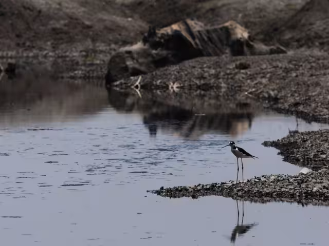 A pesar de la temporada de lluvias, el nivel de almacenamiento en las principales presas de México tuvo un aumento mínimo
