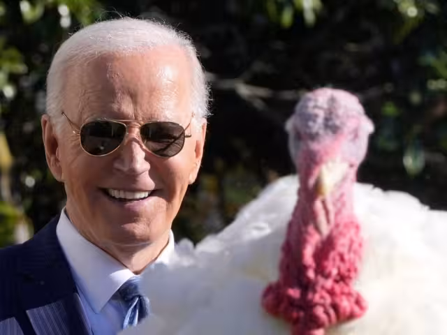 Continuando con la trradición el presidente de EU, Joe Biden, indultó a un par de pavos previo a los festejos del Día de Acción de Gracias