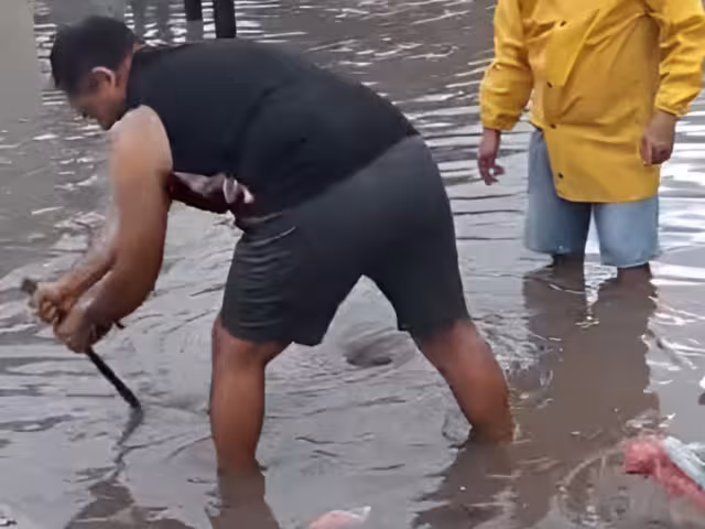 Exceso de basura tapó alcantarilla en ruta del Tren Ligero; emiten observaciones