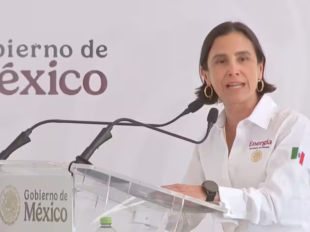 Luz Elena González Escobar, secretaria de Energía