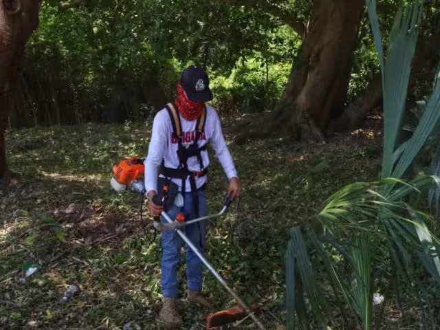 Recolectan 45 toneladas de basura en Boulevard Bahía de Chetumal