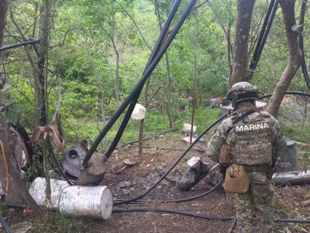 De acuerdo con el Gabinete de Seguridad, el aseguramiento representa la neutralización de más de 525 millones de dosis de droga