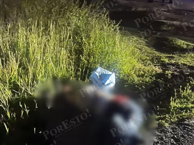 Tragedia en la carretera Carmen–Puerto Real: muere vigilante atropellado y el conductor huye