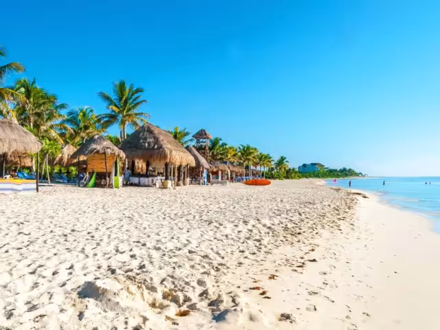 Estos son los mejores restaurantes con vista al mar en Playa del Carmen, según Trip Advisor