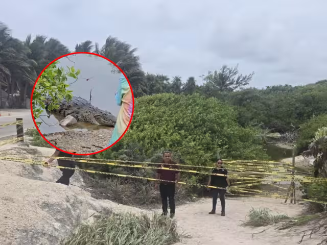 La medida fue tomada tras un incidente con turistas extranjeros que se acercaron peligrosamente a un cocodrilo.