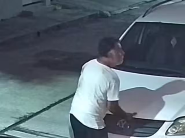 Autoridades investigan a célula delictiva que roba autopartes en Chetumal