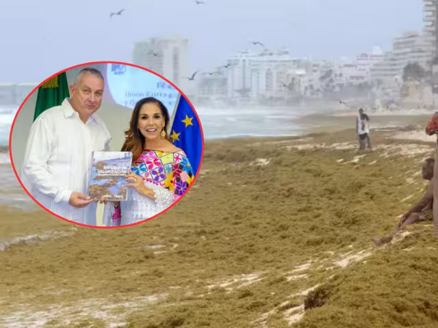 Europa y Quintana Roo se unen para convertir el sargazo en energía limpia