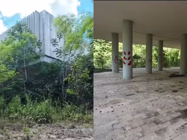 Lo que en algún momento se presentó como un gran proyecto, hoy luce consumido por la vegetación