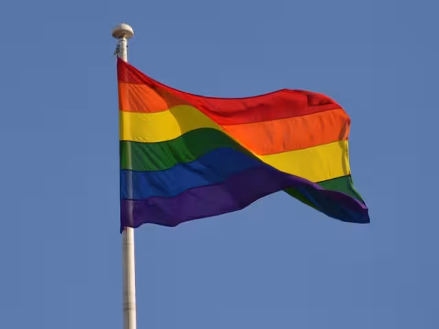 ¿Qué sucede en el buscador de Google cuando escribes "Orgullo gay"?