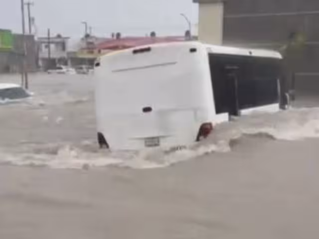 Para atender la emergencia, los tres órdenes de gobierno implementaron diversas medidas de apoyo