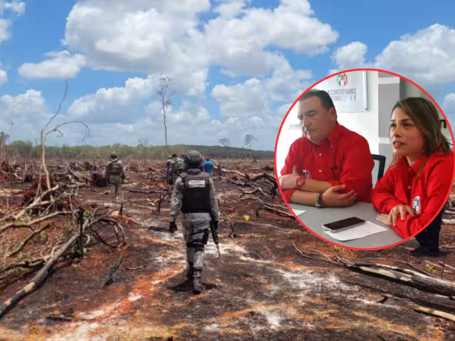 Diana Mena Lezama, secretaria general del PRI, exigió sanciones para funcionarios que encubran la deforestación en Campeche.