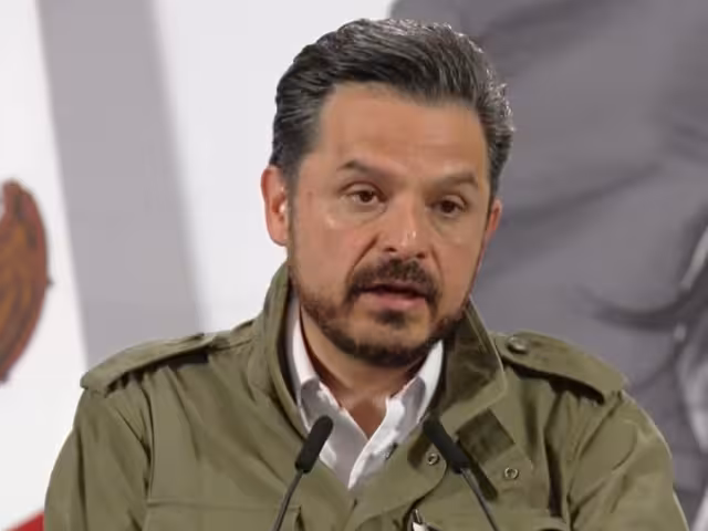 Zoé Robledo Aburto, Instituto Mexicano del Seguro Social (IMSS)