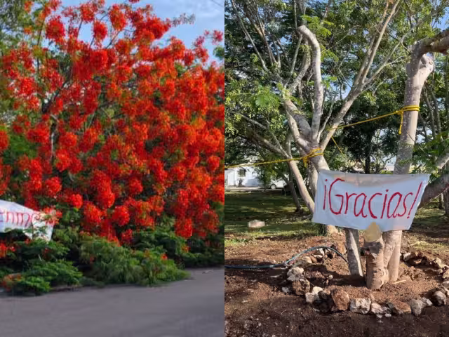 Las labores para rescatar al ejemplar fueron aplaudidas por la ciudadanía