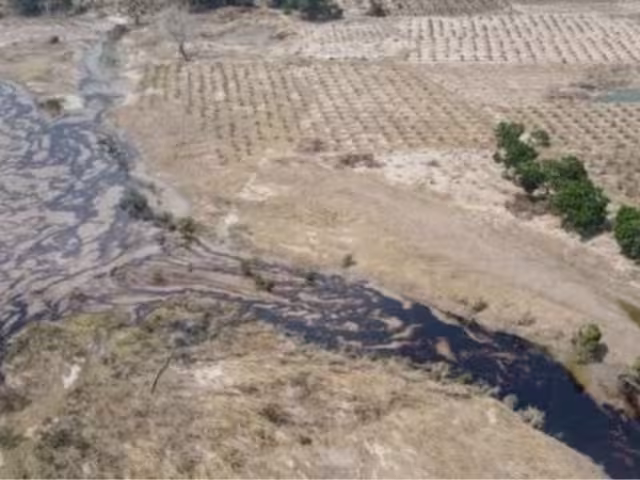 Se han instalado 22 barreras marinas y 230 cordones oleofílicos para evitar la dispersión del crudo en cuerpos de agua y manglares cercanos