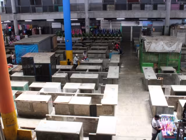 En un año, después de su inauguración, se registraron tres muertes en el interior 