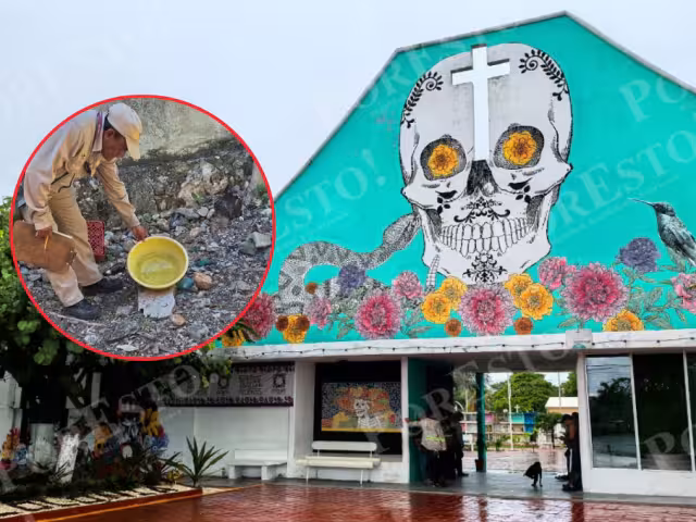 Aunque los casos de dengue en Campeche han disminuido 92% respecto al año pasado, la Secretaría de Salud reforzará las acciones de combate al mosco