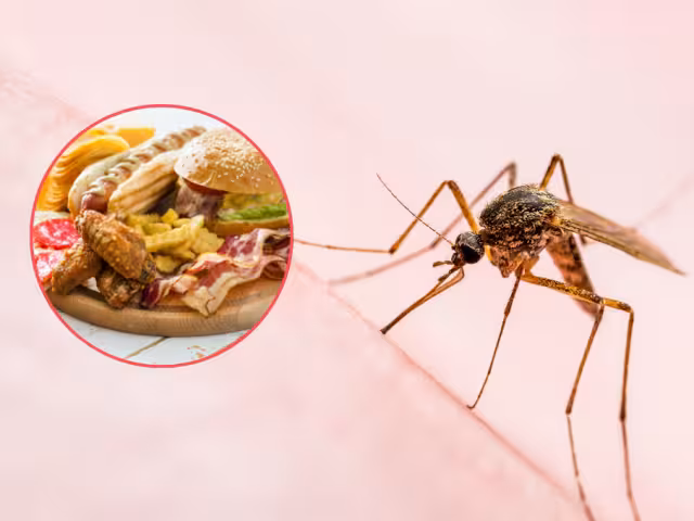 Los síntomas del dengue incluyen fiebre elevada, dolor de cabeza intenso, dolor detrás de los ojos, entre otros