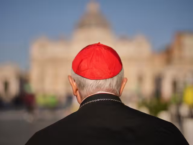 La suspensión de estas celebraciones responde al protocolo que rige durante la transición papal y al respeto del proceso canónico