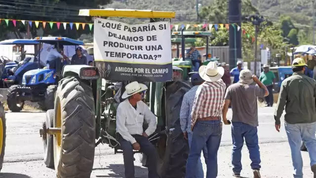 Los productores exigen que el precio por tonelada sea fijado en 7 mil 200 pesos