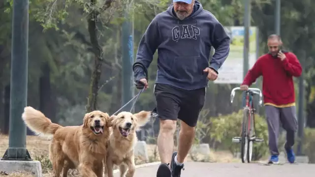 El cambio normativo marca un precedente, al reconocer a los animales como seres sintientes