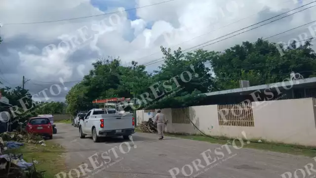 En Escárcega, ramas de un árbol provocaron un corto circuito en cables de la CFE.