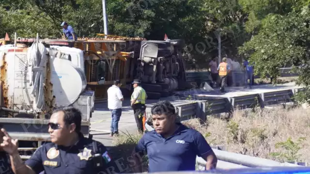 Accidente en la autopista Campeche–Mérida: vuelca camión con animales para consumo