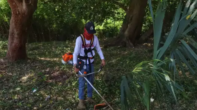 Recolectan 45 toneladas de basura en Boulevard Bahía de Chetumal