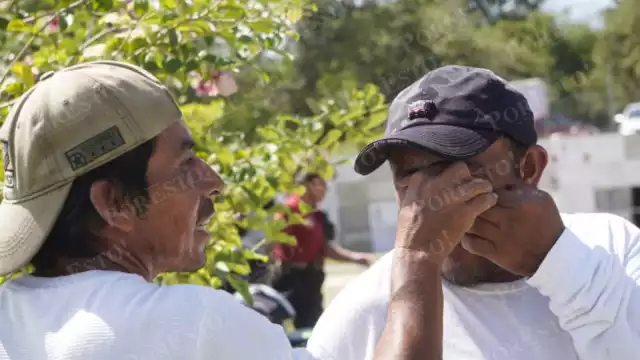 Enjambre sorprende a familias durante visita al panteón en Día de Muertos