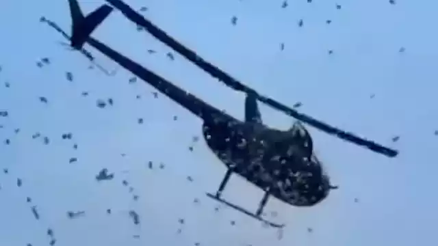 5 mil dólares cayeron del cielo desde un helicóptero por un hermoso motivo