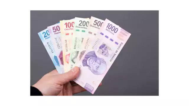 Conoce quién tiene derecho a recibir aguinaldo en noviembre.