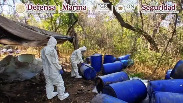 En el municipio de Cosalá, los elementos de seguridad destruyeron una zona de concentración de químicos