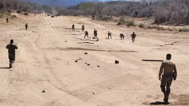 Durante el operativo, se descubrieron y destruyeron dos plantíos de marihuana