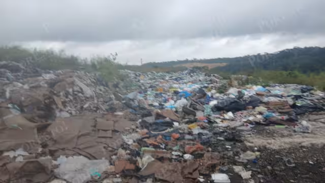 Basurero de Escárcega, escenario de búsqueda judicial por desaparición