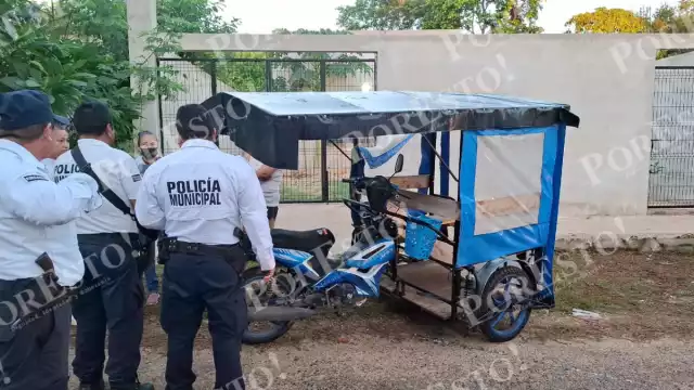 Un perro salió repentinamente de un callejón y provocó el accidente.