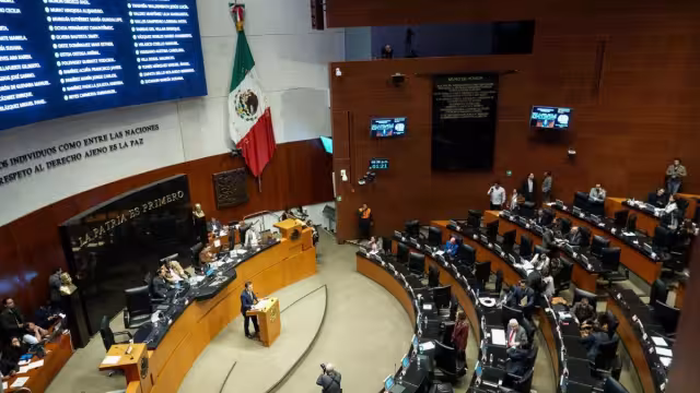 Los senadores manifestaron su preocupación por medidas que podrían transformar la relación bilateral