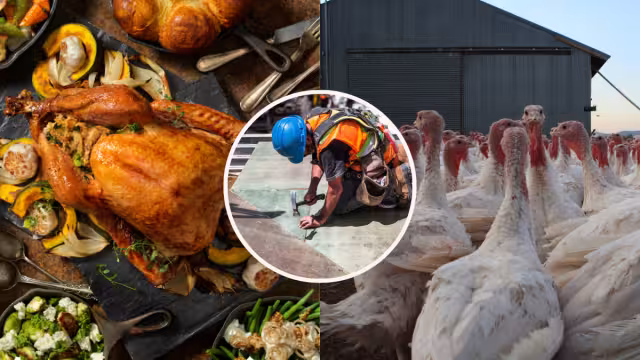 Las fechas de reparto pueden variar según cada empresa