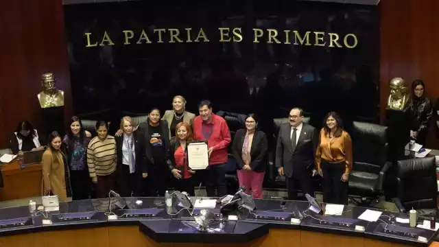 El Senado reeligió con mayoría calificada a Rosario Piedra Ibarra, para continuar al frente de la CNDH