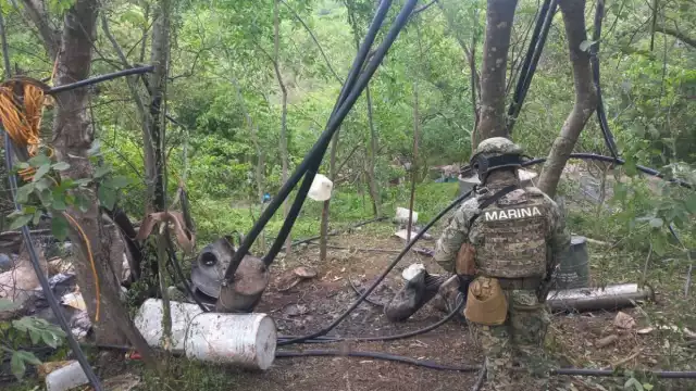 De acuerdo con el Gabinete de Seguridad, el aseguramiento representa la neutralización de más de 525 millones de dosis de droga