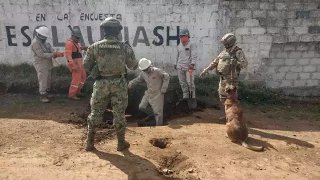 En 2024, la Semar y Pemex lograron identificar y desactivar 348 tomas clandestinas en Puebla