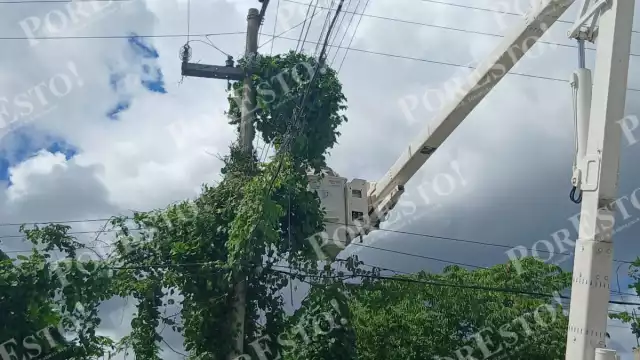 Vecinos de la colonia Salsipuedes, en Escárcega, alertaron desde hace cinco días sobre la maleza que cubría cables de energía eléctrica.