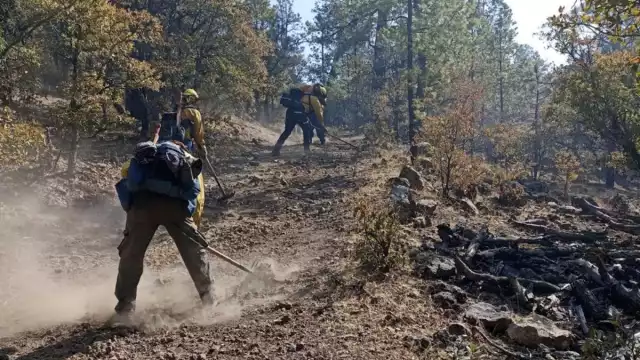 La topografía accidentada de la zona ha dificultado las acciones de combate directo