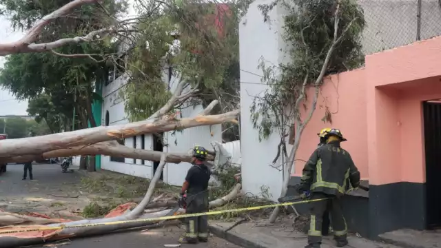 Se espera que los vientos más intensos se presenten entre las 13:00 y las 20:00 horas.