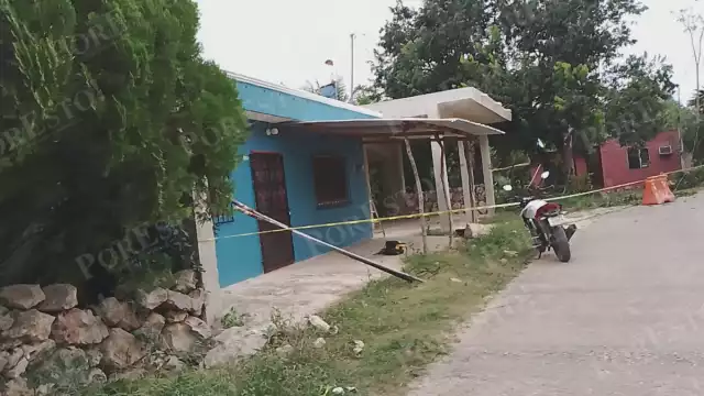 Fuertes vientos del frente frío número 13 “Che Chen” provocaron la caída de una rama de chaká en Dzitbalché, Campeche.