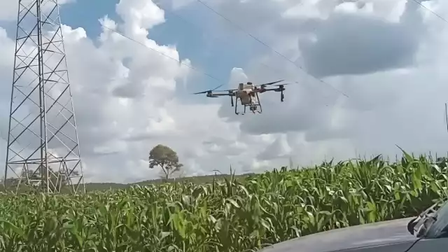 Campesinos de Campeche usan drones para combatir al gusano cogollero